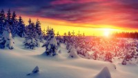 /album/hinh-%e1%ba%a3nh-thien-nhien/landscape-4k-wallpapers-by-telasm-deviantart-com-2-jpg/